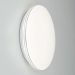 Потолочный светодиодный светильник Citilux CL71424SV