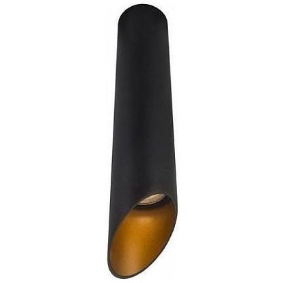 Потолочный светильник Arte Lamp A1536PL-1BK Pilon-Gold