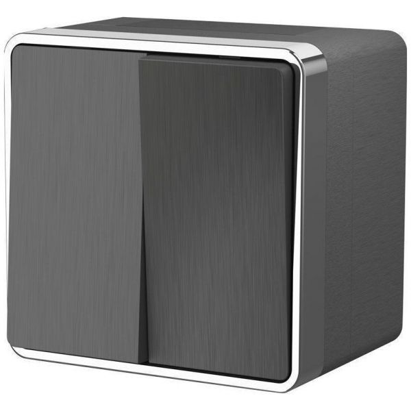 Выключатель двухклавишный влагозащищенный Gallant Werkel W5020204 графит рифленый (WL15-03-02)