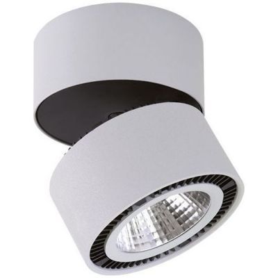 Точечный светильник Lightstar 214839