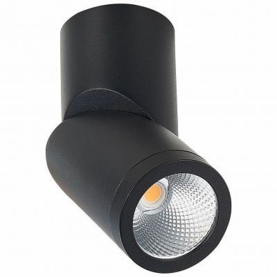 Светодиодный спот ST Luce ST650.442.10