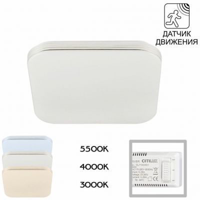 Потолочный светодиодный светильник Citilux CL714K24SV
