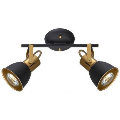 Спот потолочный Arte Lamp A1677PL-2GO