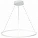 Подвесной светодиодный светильник ST Luce ST605.543.34