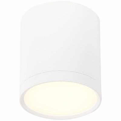Светильник потолочный ST Luce ST113.532.05