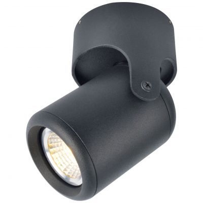 Светильник потолочный Arte Lamp A3316PL-1BK