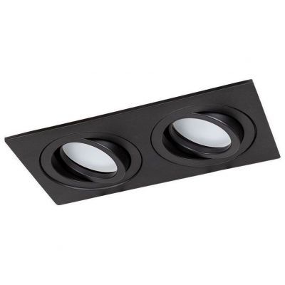 Встраиваемый светильник Arte Lamp A2168PL-2BK