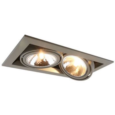 Светильник Arte Lamp A5949PL-2GY