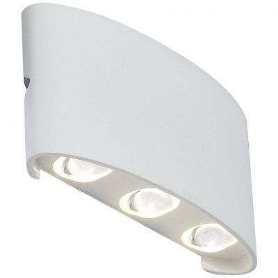 Светильник уличный настенный ST Luce SL089.501.06