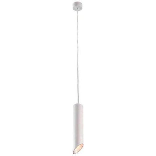 Подвесной светильник Arte Lamp A1536SP-1WH Pilon-Silver