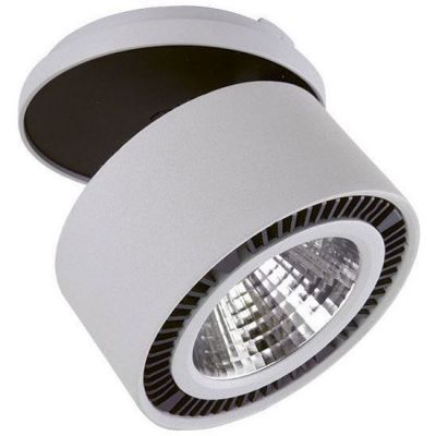 Точечный светильник Lightstar 214829