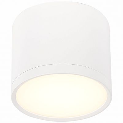 Светильник потолочный ST Luce ST113.532.09