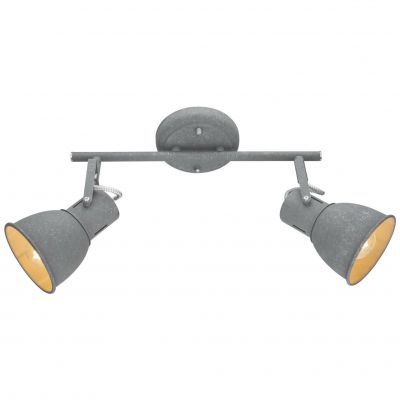 Светильник потолочный Arte Lamp A1677PL-2GY