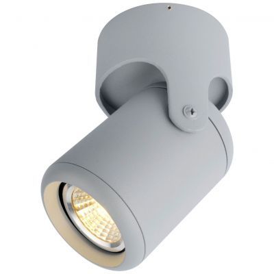 Светильник потолочный Arte Lamp A3316PL-1GY