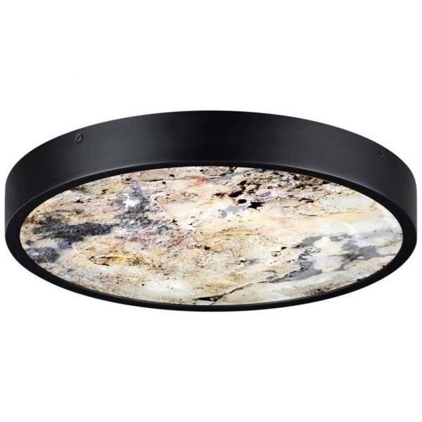 Настенно-потолочный светильник Odeon Light BERGI 5064/24L