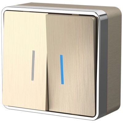 Выключатель двухклавишный с подсветкой Gallant Werkel W5020110 шампань рифленый (WL15-03-03)