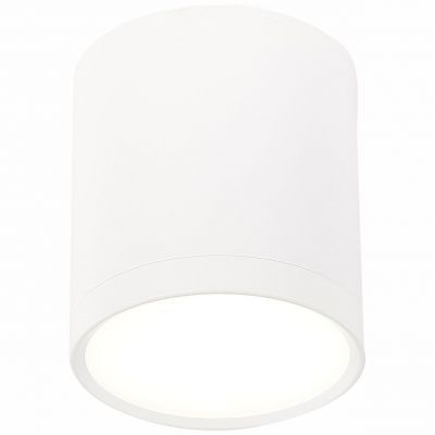 Светильник потолочный ST Luce ST113.542.05