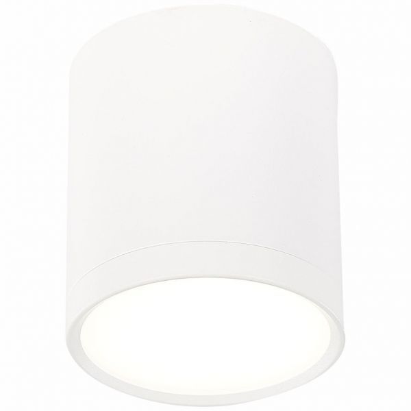 Светильник потолочный ST Luce ST113.542.05