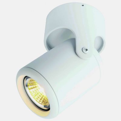 Светильник потолочный Arte Lamp A3316PL-1WH
