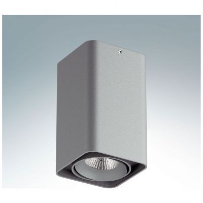 Точечный светильник Lightstar 212539