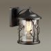 Уличный настенный светильник Odeon Light 4963/1W