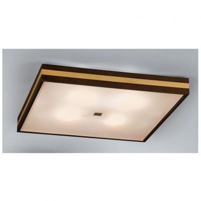 Потолочный светильник Citilux CL940421