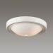 Потолочный светильник Lumion 5279/2C Nina