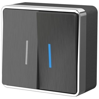 Выключатель двухклавишный с подсветкой Gallant Werkel W5020104 графит рифленый (WL15-03-03)