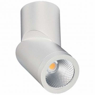 Светодиодный спот ST Luce ST650.532.10