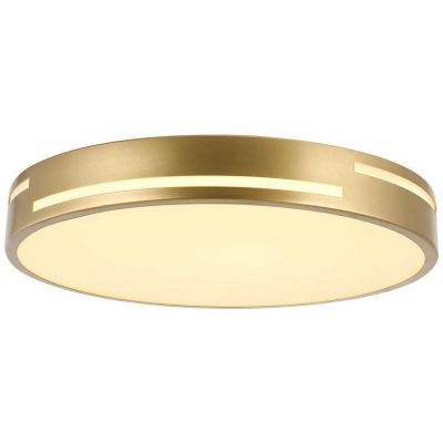Потолочный светодиодный светильник F-Promo 2745-2C