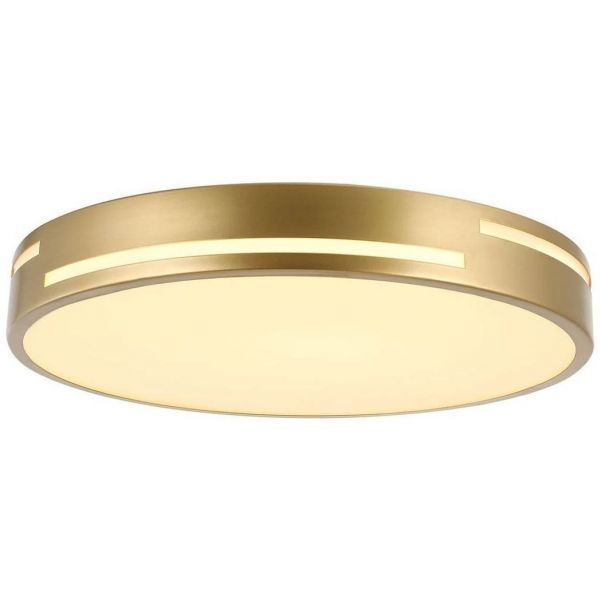 Потолочный светодиодный светильник F-Promo 2745-2C