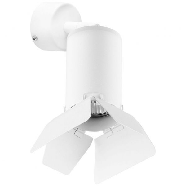 Светильник спот Lightstar Rullo RB436436