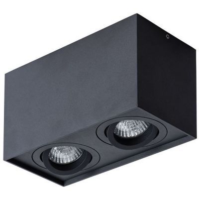 Потолочный светильник Arte Lamp Factor A5544PL-2BK