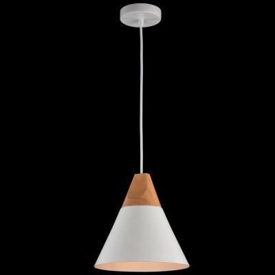 Подвес Maytoni P359-PL-01-W