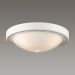 Потолочный светильник Lumion 5279/3C Nina
