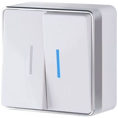 Выключатель двухклавишный с подсветкой Gallant Werkel W5020101 белый (WL15-03-03)