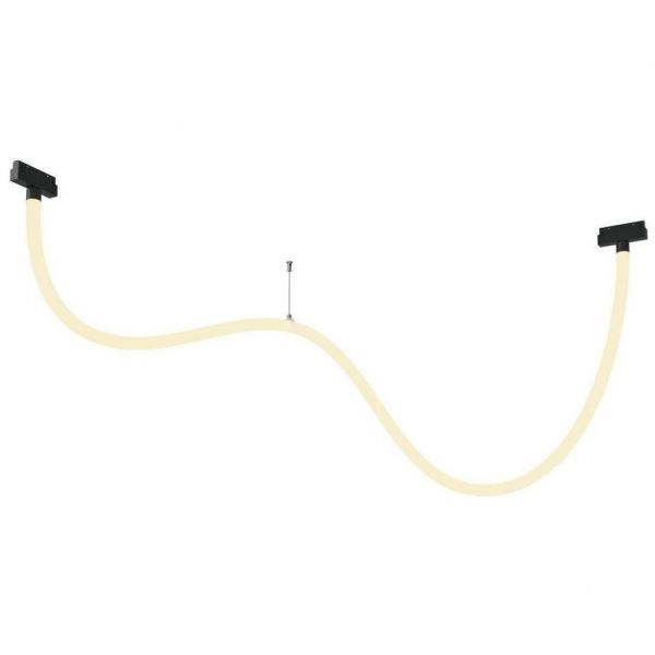 Трековый светодиодный светильник Maytoni Tau TR101-2-50W3K-B