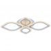 Светодиодная люстра 8018/2+2 WHT Profit Light