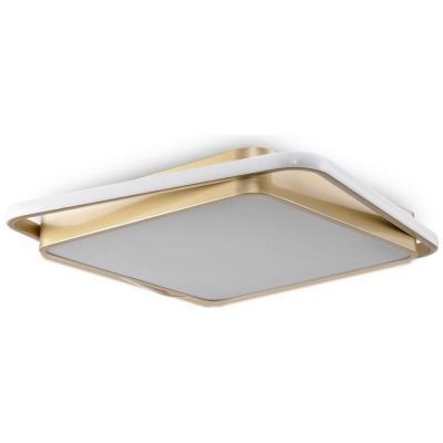Потолочный светодиодный светильник Freya Yaku FR10026CL-L93G