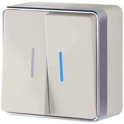 Выключатель двухклавишный с подсветкой Gallant Werkel W5020103 слоновая кость (WL15-03-03)