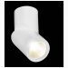 Светодиодный спот ST Luce ST650.542.10