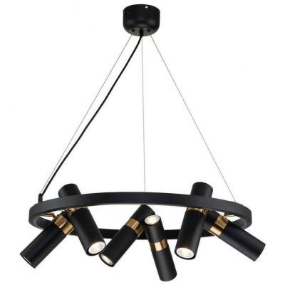 Подвесная люстра Favourite Light Point 2997-6P