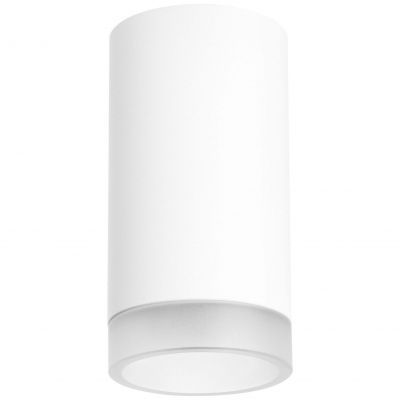 Накладной светильник Lightstar Rullo R43630