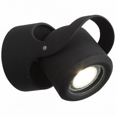 Светильник уличный настенный ST Luce SL093.401.01