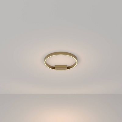 Потолочный светильник Maytoni MOD058CL-L25BS3K Rim
