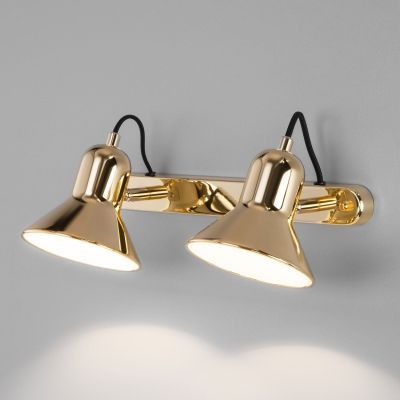 Настенный светильник Eurosvet 20082/2 золото Canotier
