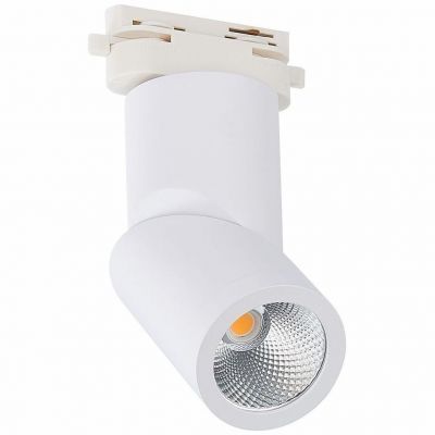 Трековый светодиодный светильник ST Luce ST650.546.10