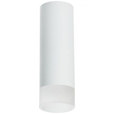 Потолочный светильник Lightstar Rullo (214486+202431) R48631