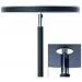 Торшер Arte Lamp Sceptrum A1822PN-1BK
