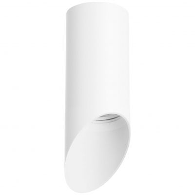 Накладной светильник Lightstar Rullo R43636
